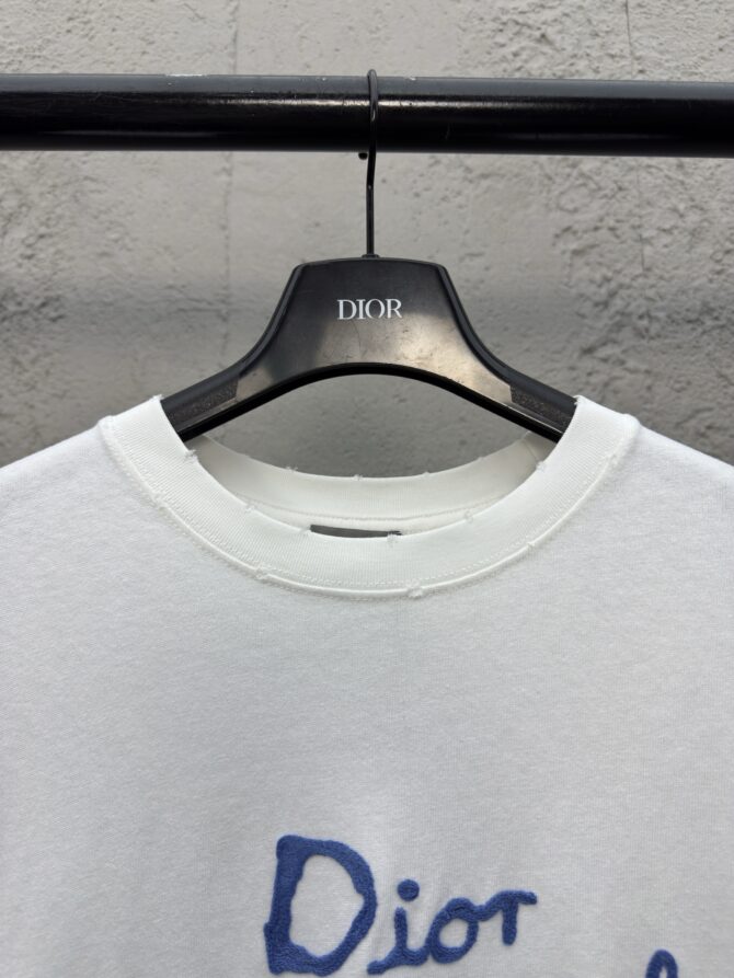 DIOR - Gambar 4